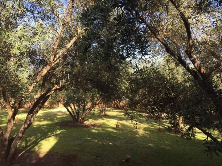 Riad Sidi Hicham Ouled Bouzid Esterno foto
